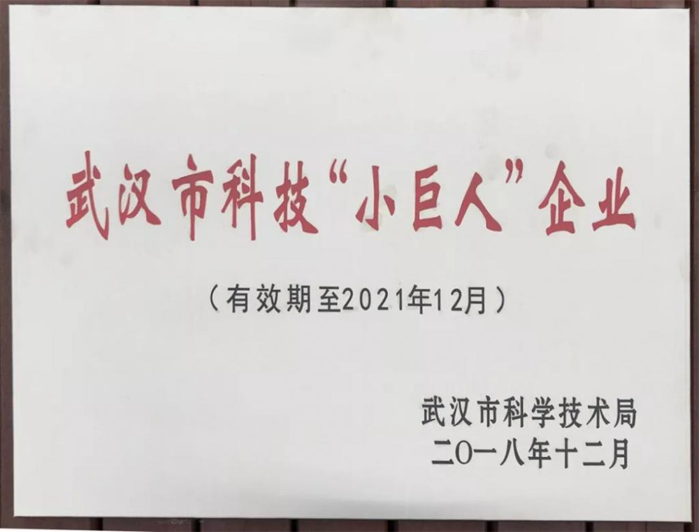 武漢科技“小巨人”證書
